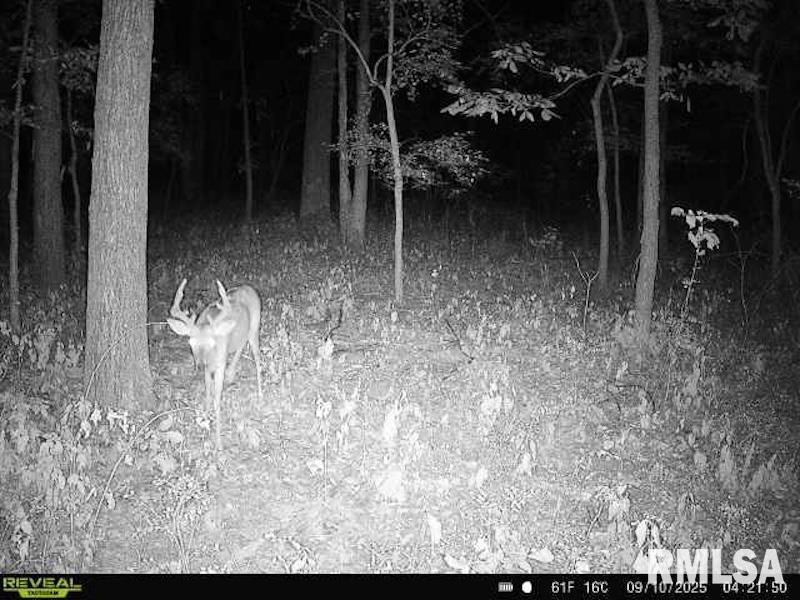 Xxx Red Hls Lane Sumner, IL 62466 - Photo 55 of 75