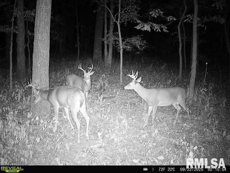 Xxx Red Hls Lane Sumner, IL 62466 - Photo 60 of 75