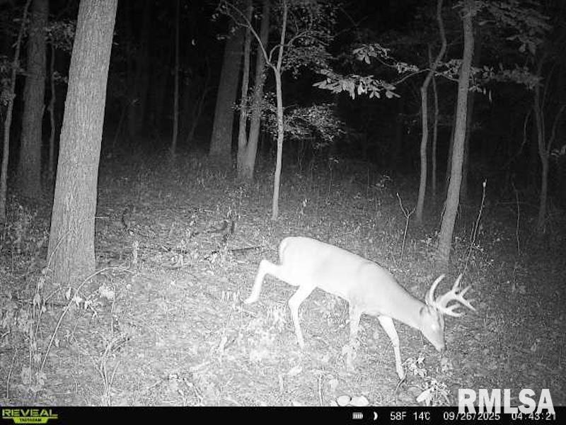 Xxx Red Hls Lane Sumner, IL 62466 - Photo 61 of 75