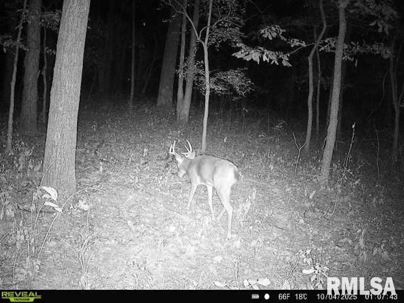 Xxx Red Hls Lane Sumner, IL 62466 - Photo 63 of 75