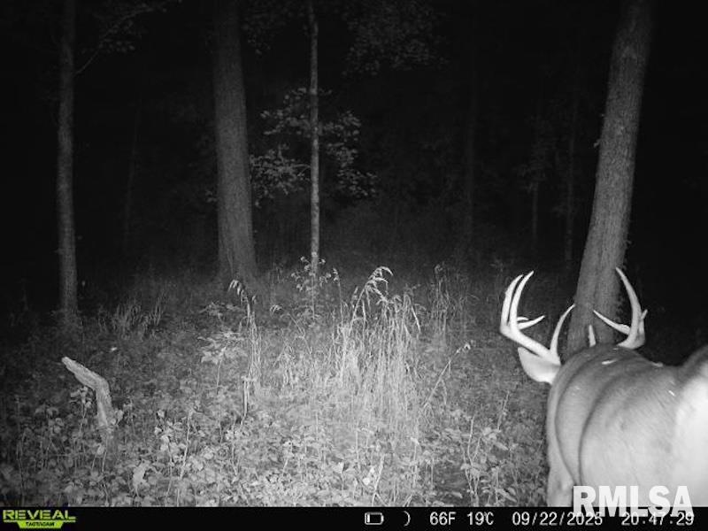 Xxx Red Hls Lane Sumner, IL 62466 - Photo 67 of 75