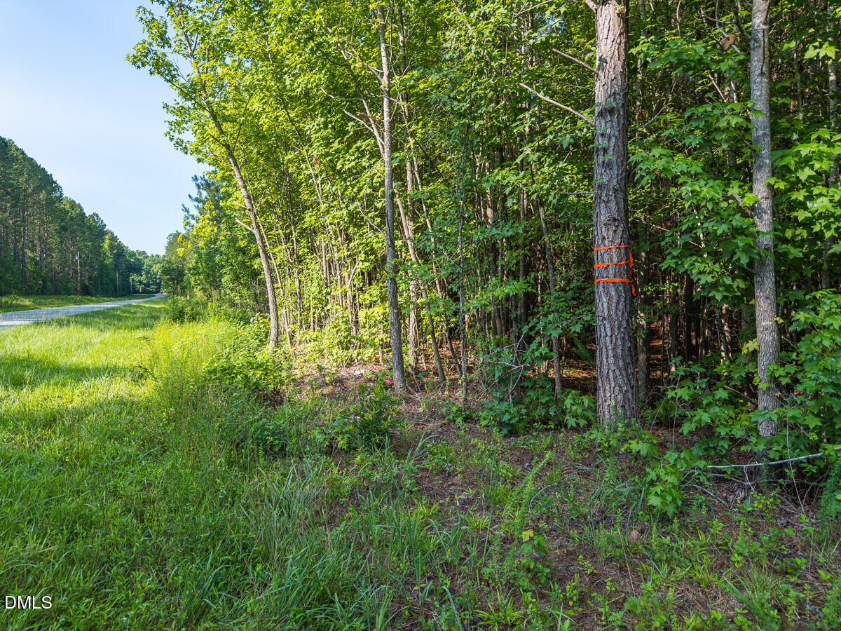 0 Cassam Road Bahama, NC 27503 - Photo 33 of 39 Durham Co. NC 10.09-Rogers-Lot1-33