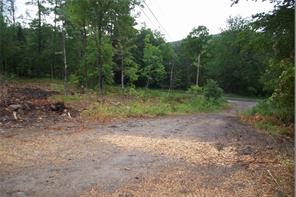 Spur Rd. lot