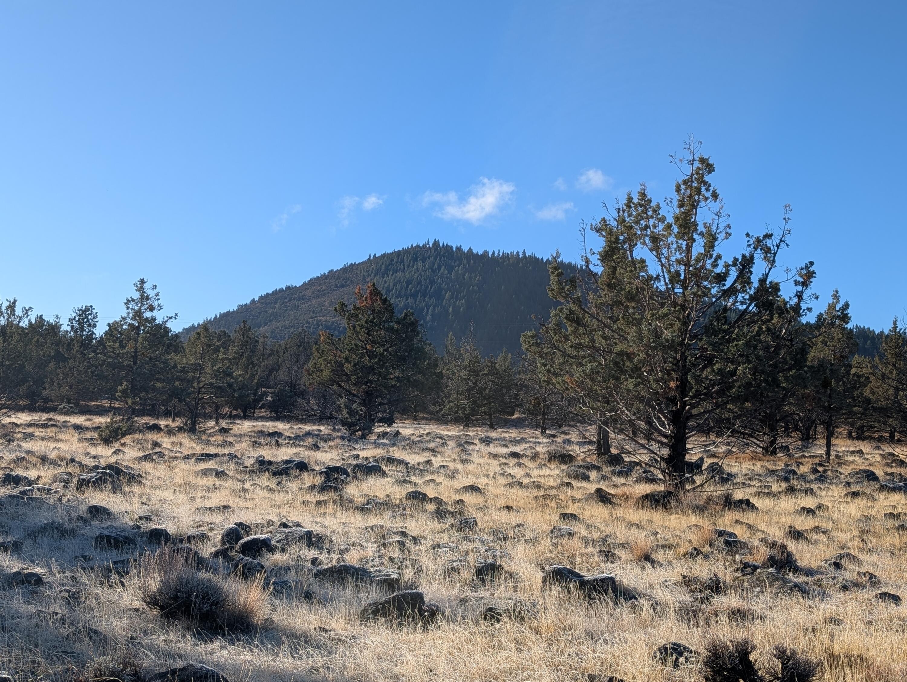 Cedar Trail Klamath Falls, OR 97603 - Photo 19 of 24 PXL_20251027_162341061