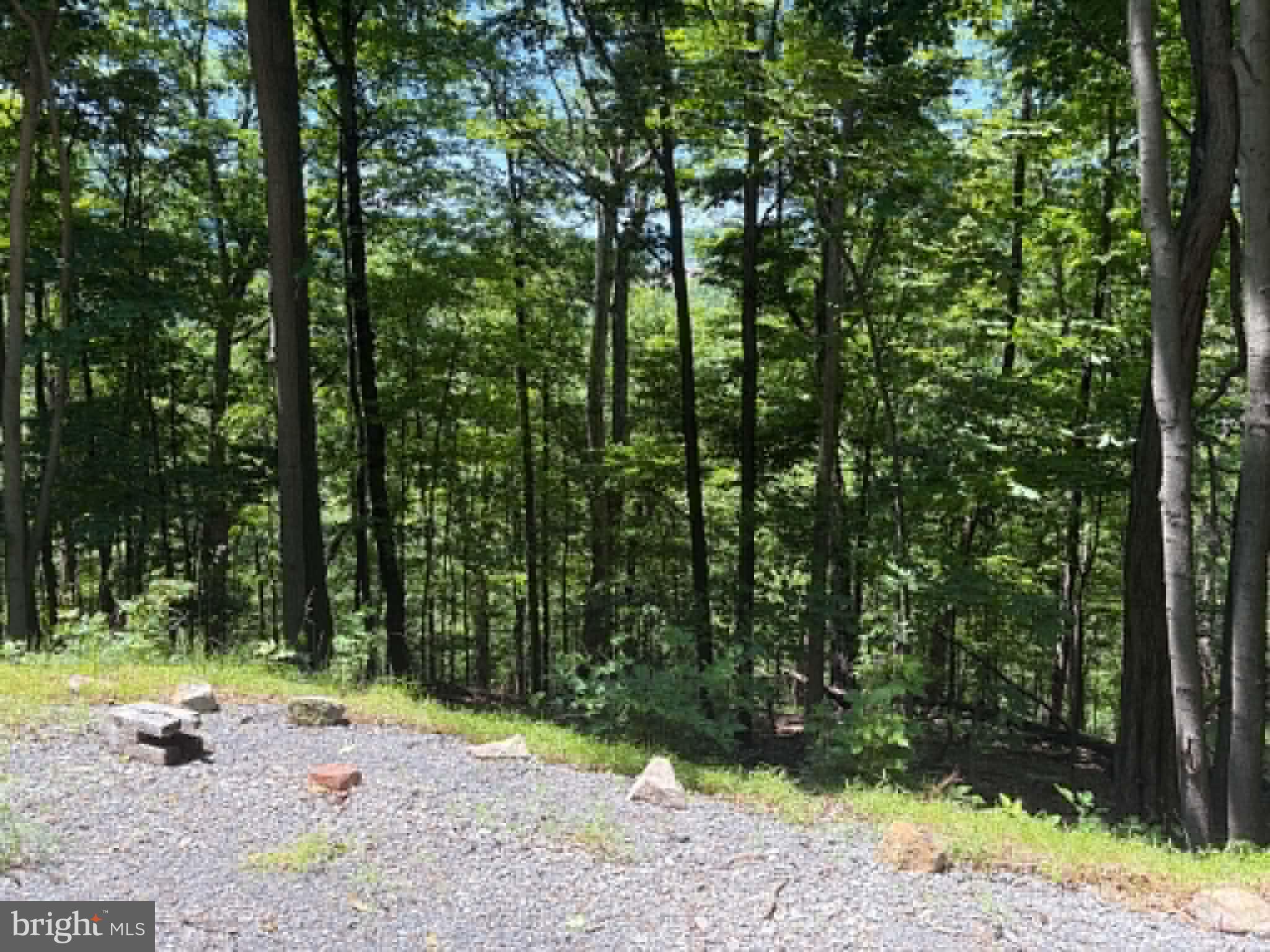 1515 Barnum Road Keyser, WV 26726 - Photo 47 of 64