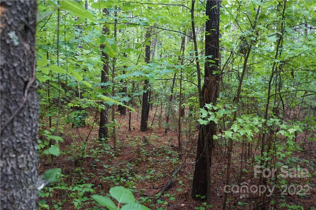 5 /- Ac Rock Cut Road, Unit 2 2 Smyrna, SC 29743 - Photo 14 of 19 a view of a garden
