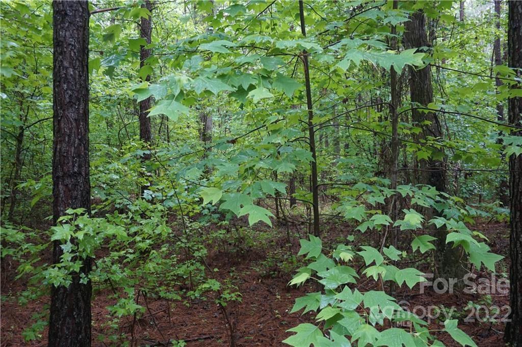 5 /- Ac Rock Cut Road, Unit 2 2 Smyrna, SC 29743 - Photo 17 of 19 a view of a garden