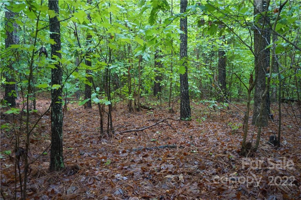 5 /- Ac Rock Cut Road, Unit 2 2 Smyrna, SC 29743 - Photo 19 of 19 a view of a forest with trees in the background