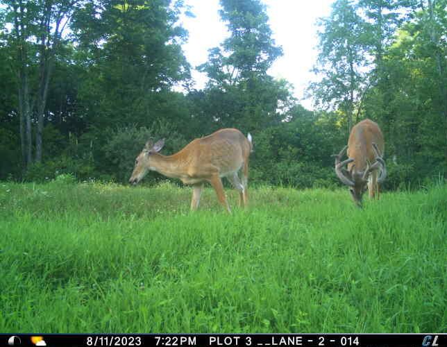 1426 Sealy Ridge Road Vincent, OH 45784 - Photo 47 of 52 T_00007
