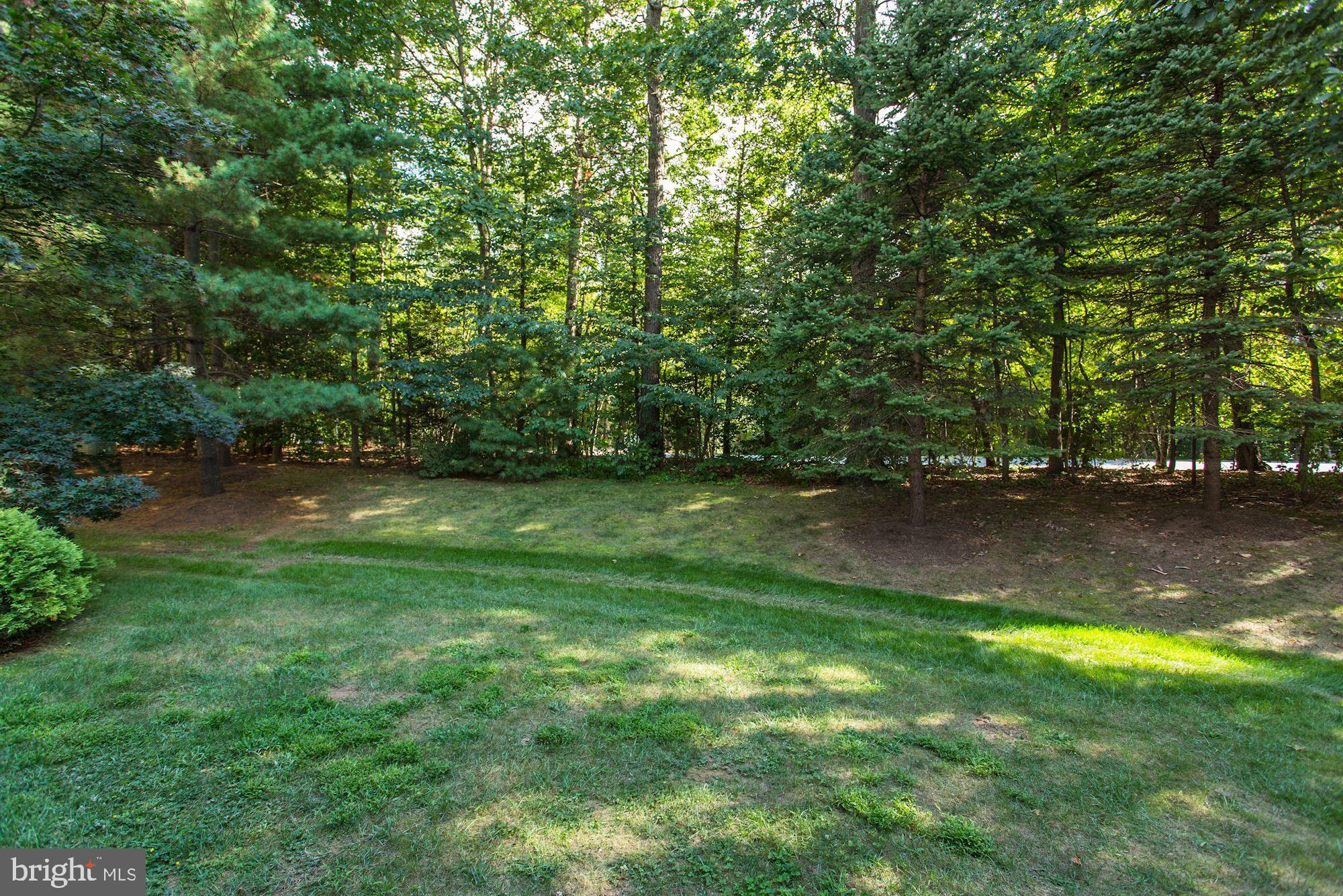 11417 Hollow Timber Way Reston, VA 20194 - Photo 31 of 40 Private Setting