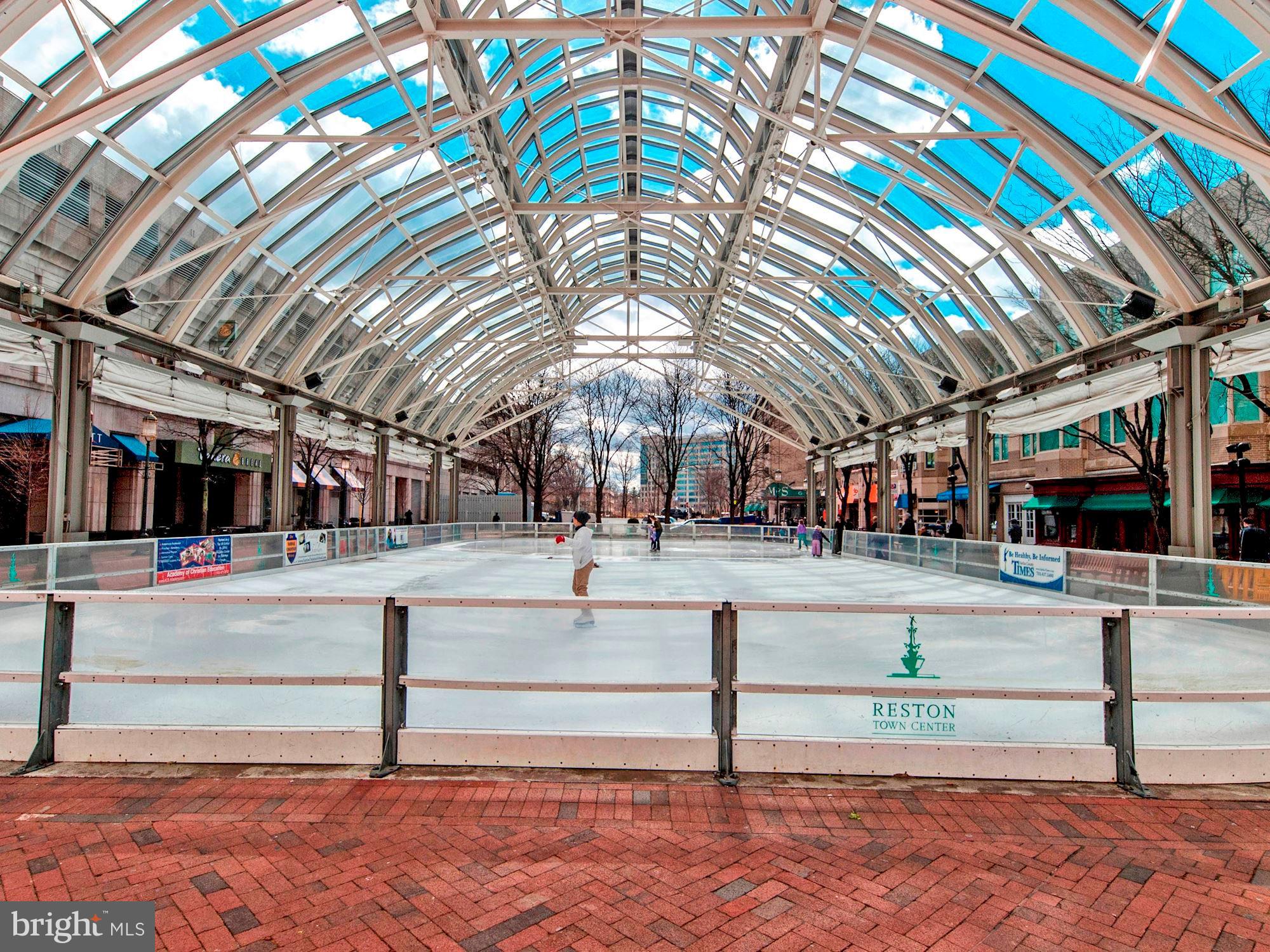 11417 Hollow Timber Way Reston, VA 20194 - Photo 39 of 40 Reston Town Center Ice Rink