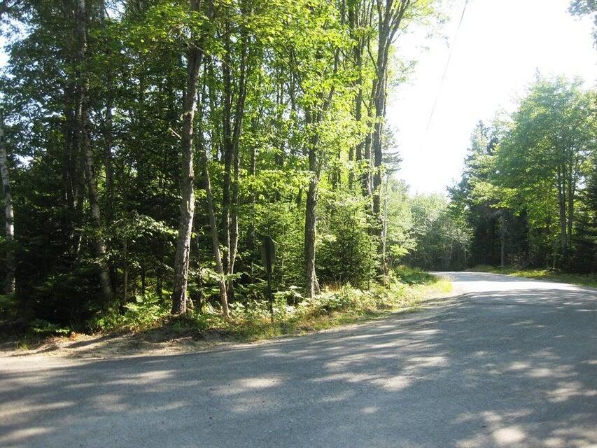 0 Peninsula Road Corea, ME 04624 - Photo 1 of 7 OAE