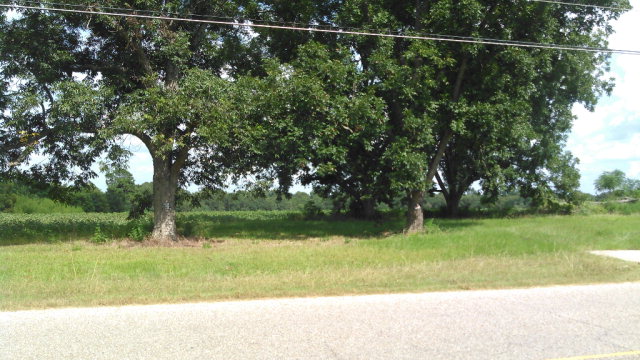 Lot # Walden Road Ozark, AL 36360 - Photo 1 of 1