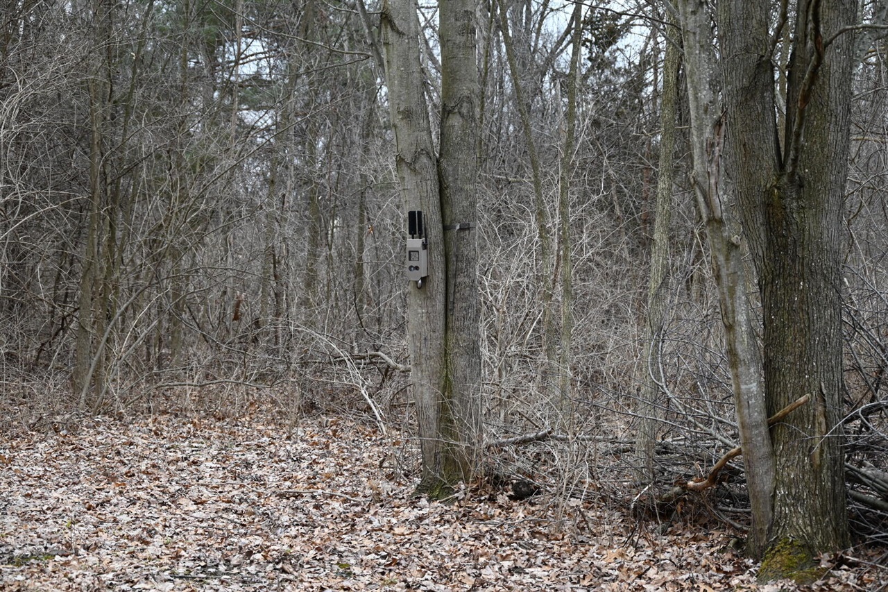 7025 Clinton Road Jackson, MI 49201 - Photo 13 of 26