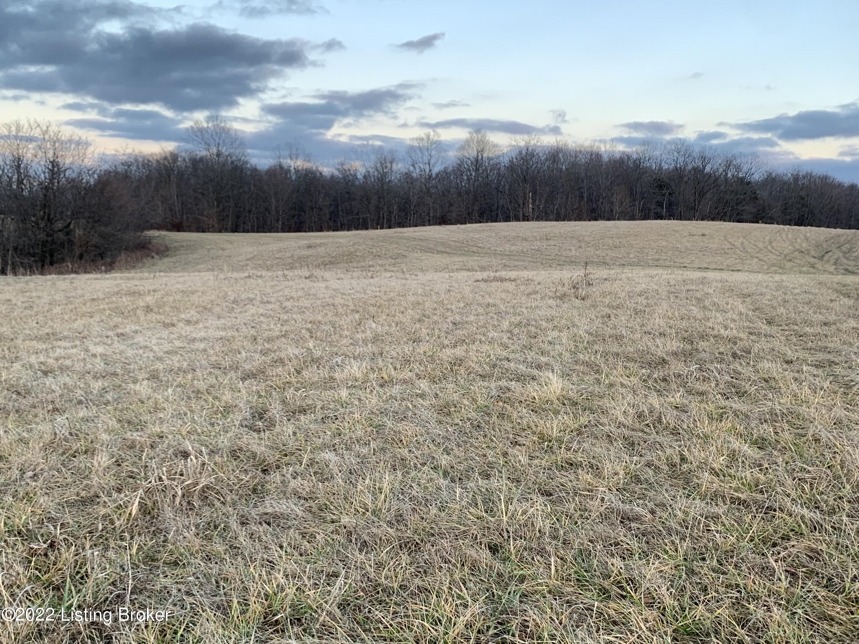 Tract #2 Tract Road Bagdad, KY 40003 - Photo 2 of 6 IMG_8077