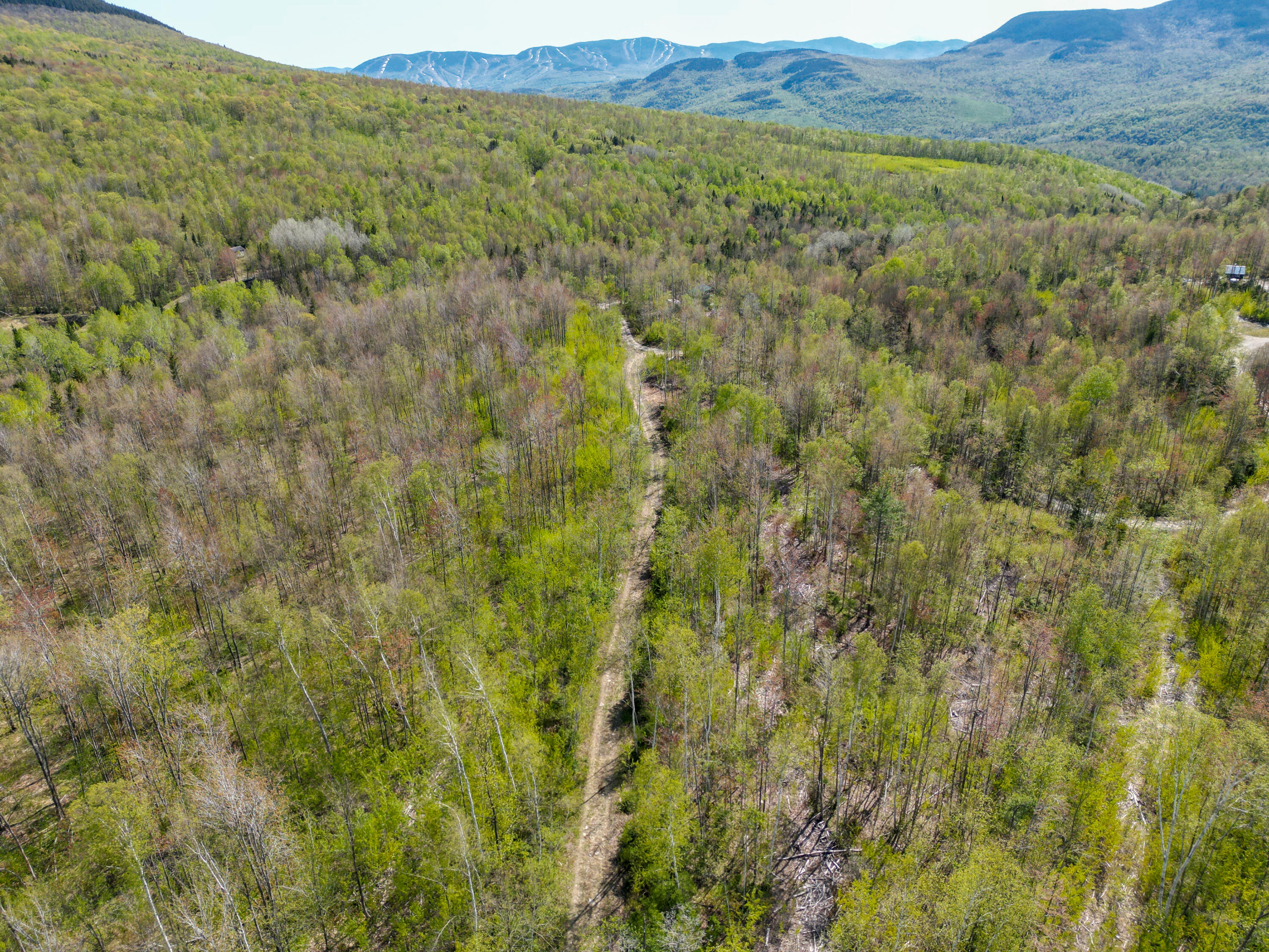 Lot 14 Kelliher Road Newry, ME 04261 - Photo 21 of 22 DJI_0525
