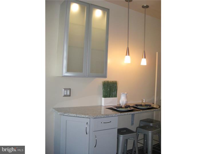 1311 South 11th Street Philadelphia, PA 19147 - Photo 10 of 25 Kitchen