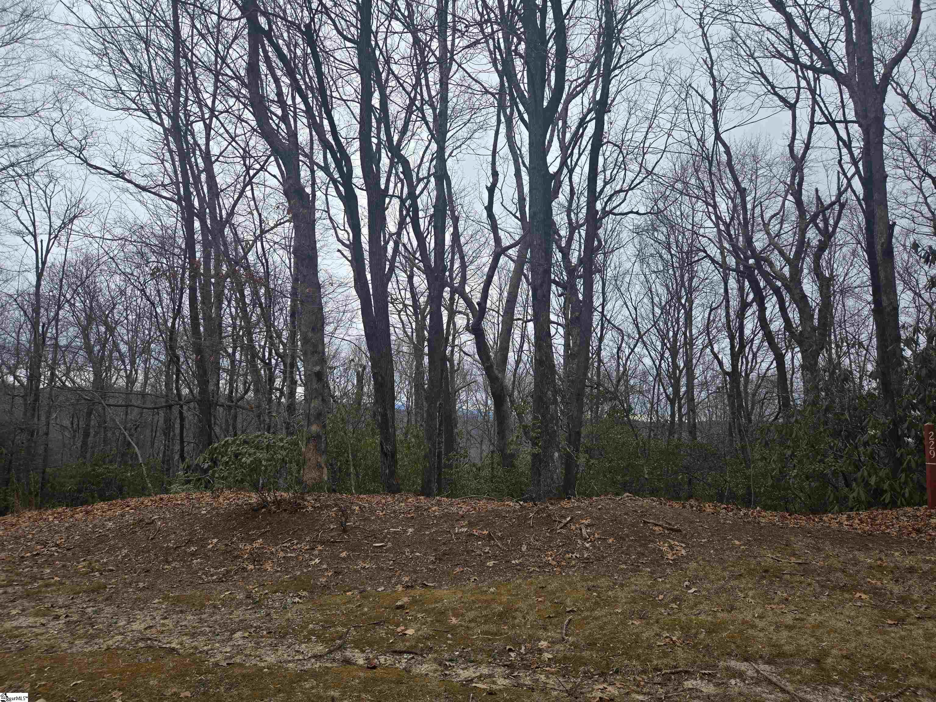 609 Cliff Ridge Drive Cleveland, SC 29635 - Photo 2 of 15