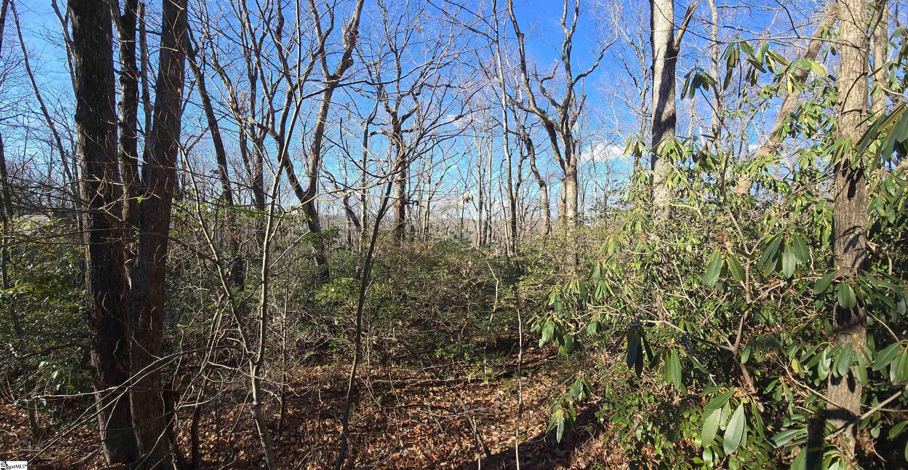 609 Cliff Ridge Drive Cleveland, SC 29635 - Photo 3 of 14