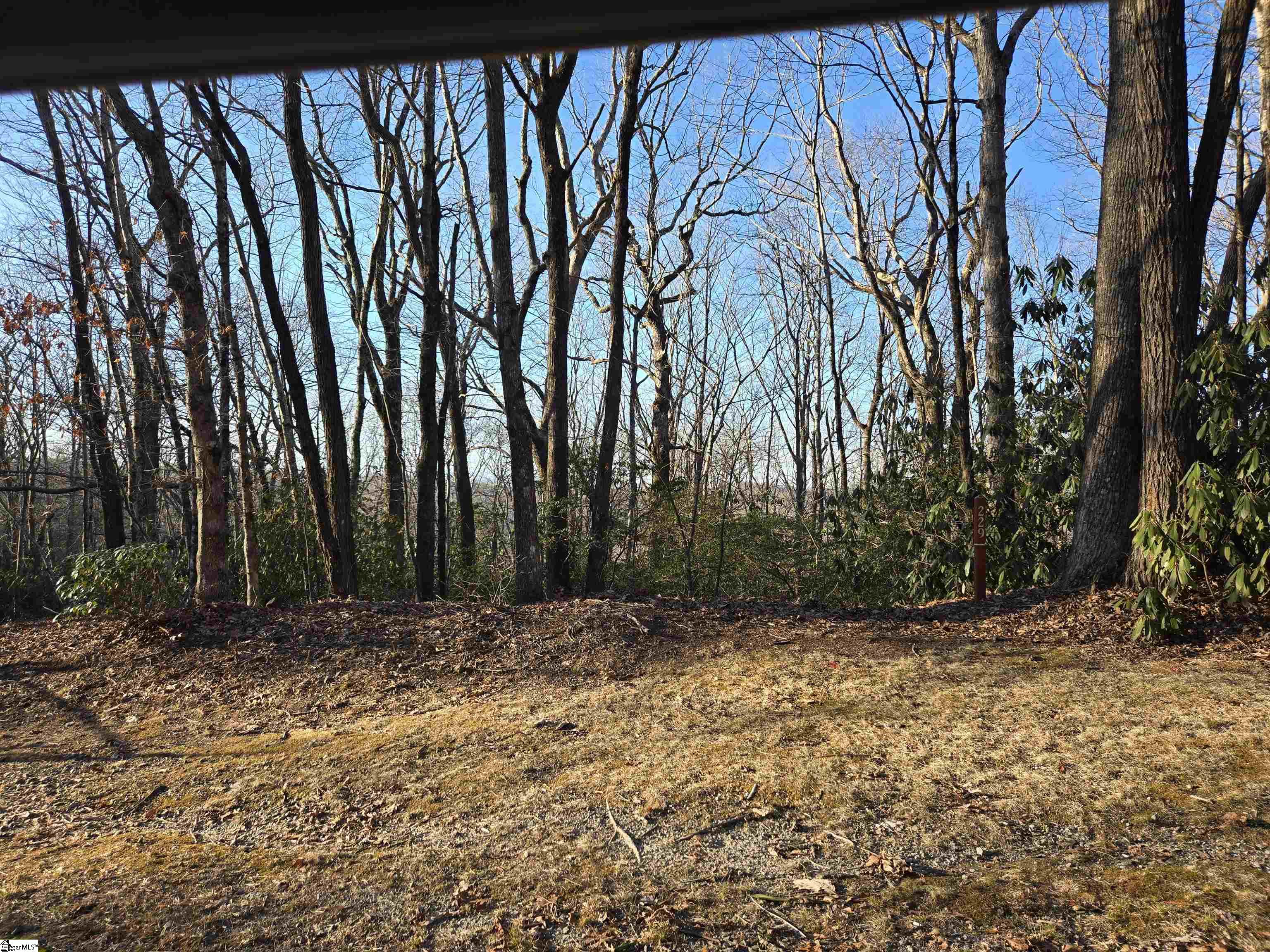609 Cliff Ridge Drive Cleveland, SC 29635 - Photo 3 of 15
