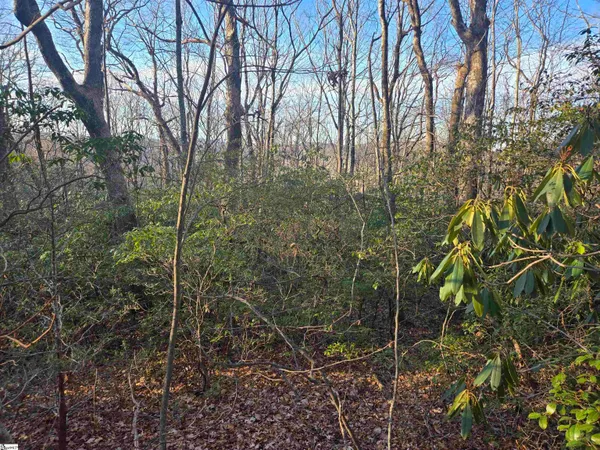 $29,000 | 609 Cliff Ridge Drive, Cleveland, SC 29635