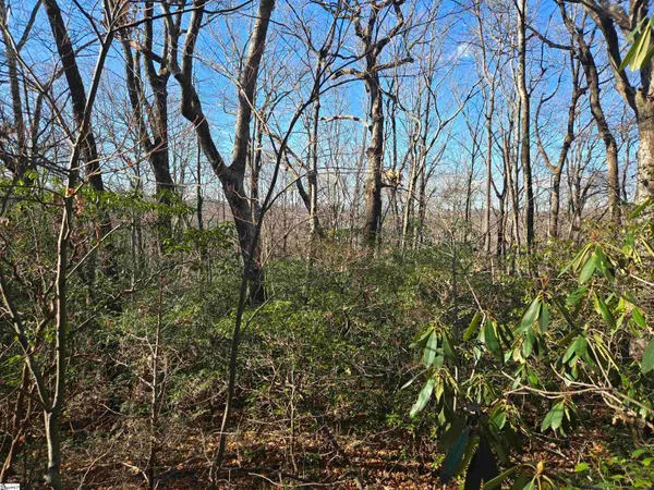 $29,000 | 609 Cliff Ridge Drive, Cleveland, SC 29635