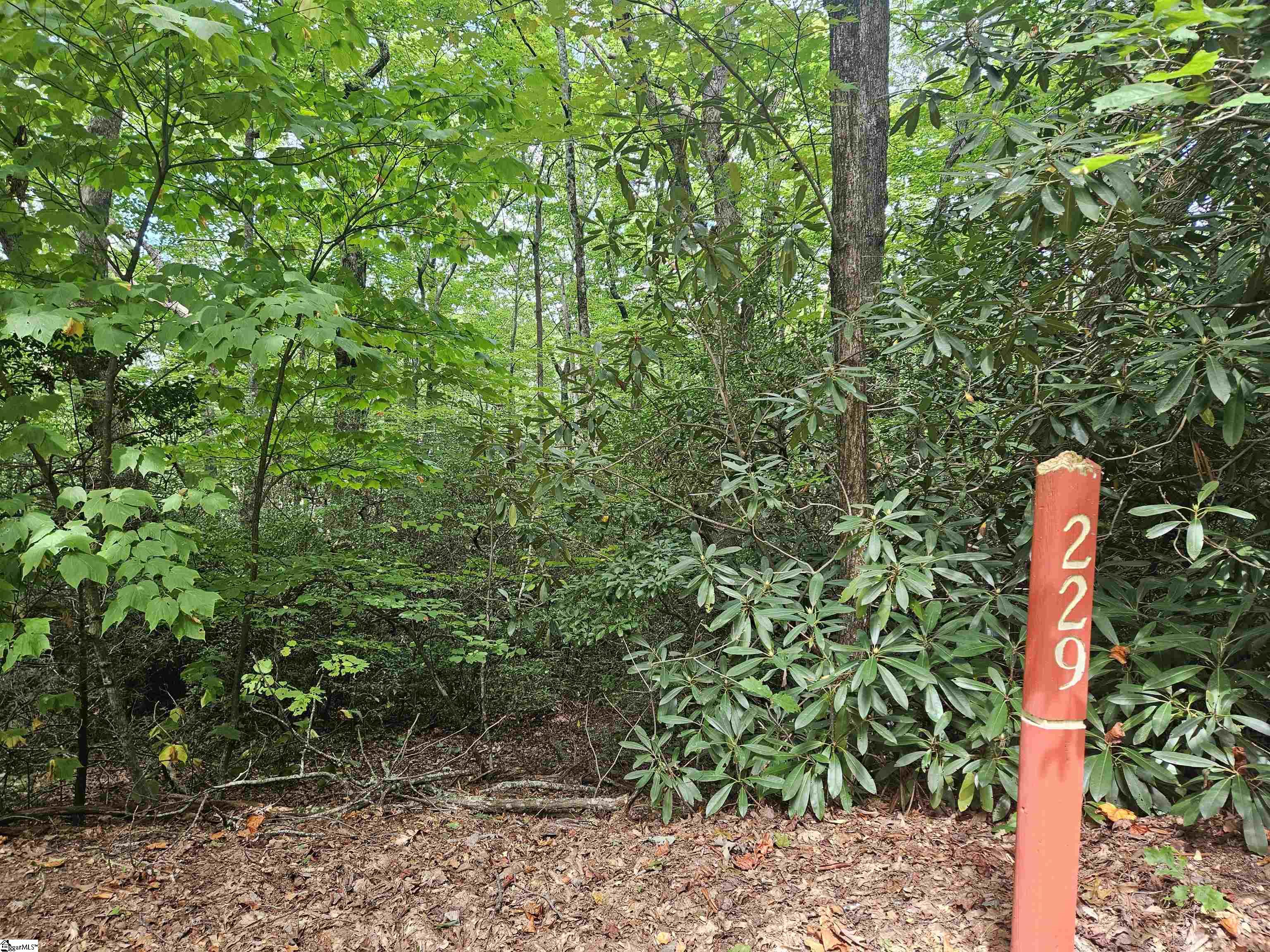 609 Cliff Ridge Drive Cleveland, SC 29635 - Photo 5 of 14