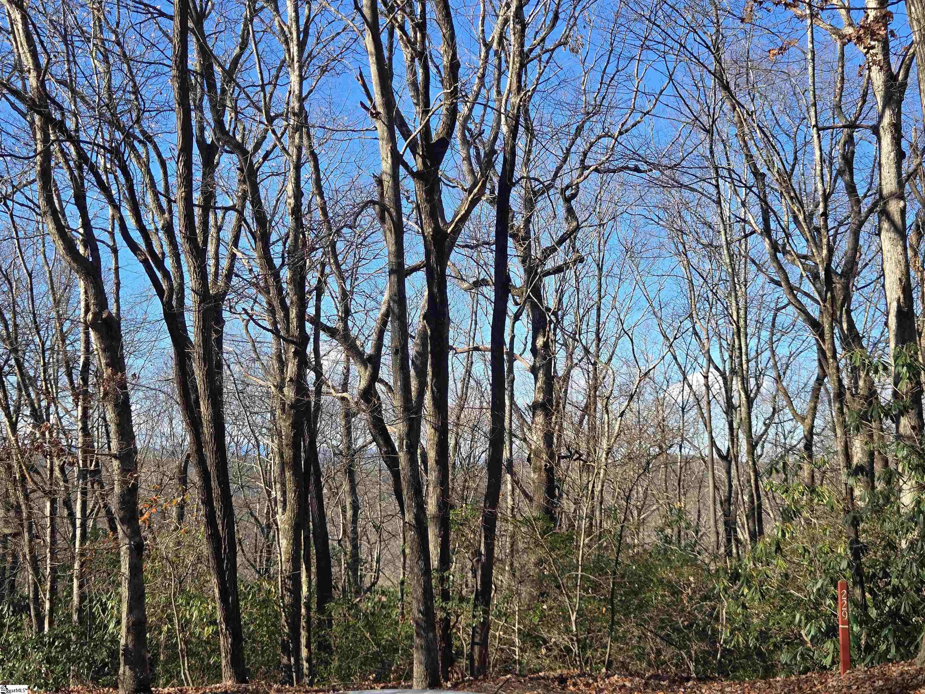 609 Cliff Ridge Drive Cleveland, SC 29635 - Photo 6 of 14