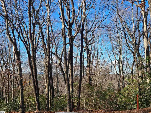 $29,000 | 609 Cliff Ridge Drive, Cleveland, SC 29635