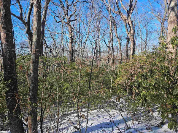 $29,000 | 609 Cliff Ridge Drive, Cleveland, SC 29635