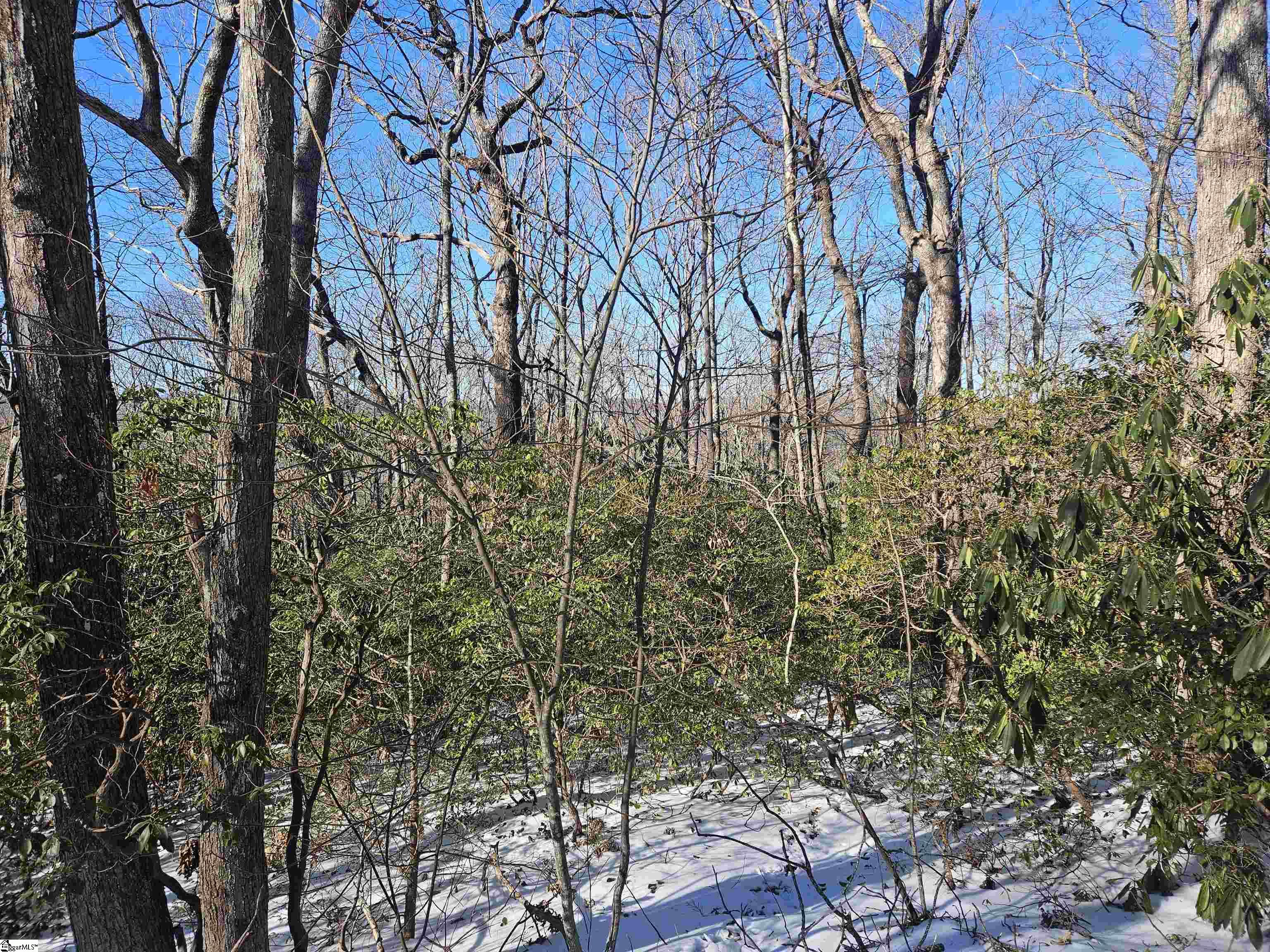 609 Cliff Ridge Drive Cleveland, SC 29635 - Photo 8 of 15