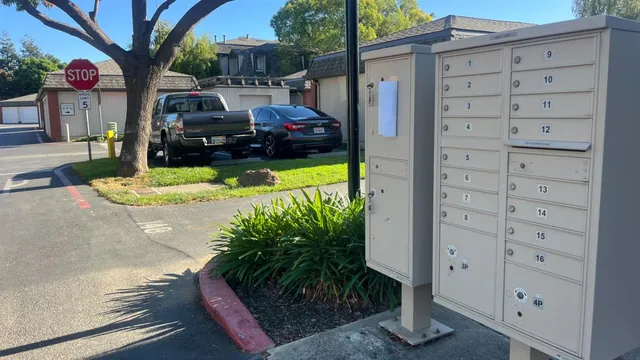 a front view of a house with garden and plants