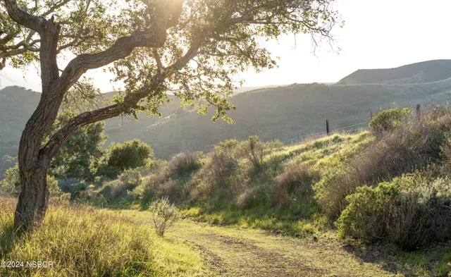 $1,795,000 | 0 Cougar Ridge Road, Buellton, CA 93427