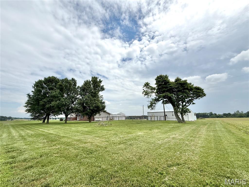 8757 Highway 50 Lebanon, IL 62254 - Photo 9 of 82