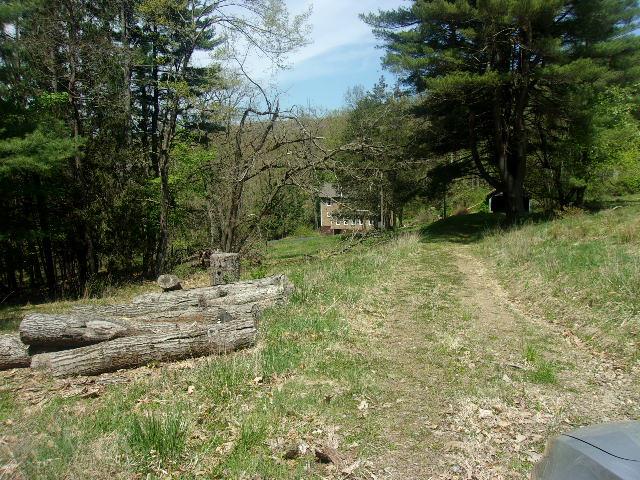 401 German Hill Road Tionesta, PA 16353 - Photo 1 of 2 a view of a yard with plants and trees