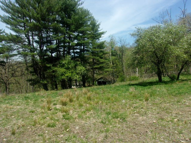 401 German Hill Road Tionesta, PA 16353 - Photo 2 of 2 a view of a grassy field with trees in the background
