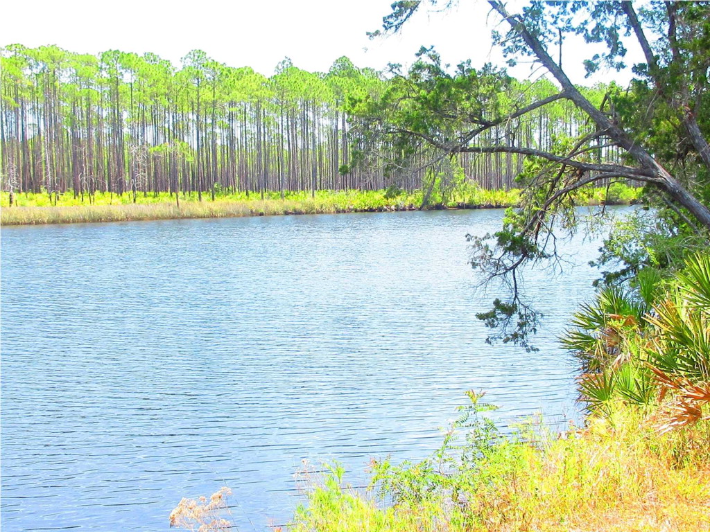 951 New River Harbor Road Carrabelle, FL 32322 - Photo 1 of 5 Gallery Image 1