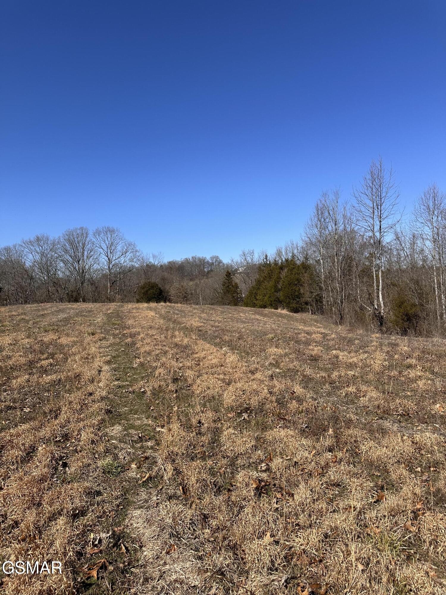24265 South Mohawk Road Midway, TN 37809 - Photo 43 of 56