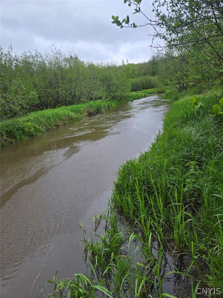 Hermitage Road Warsaw, NY 14569 - Photo 18 of 39