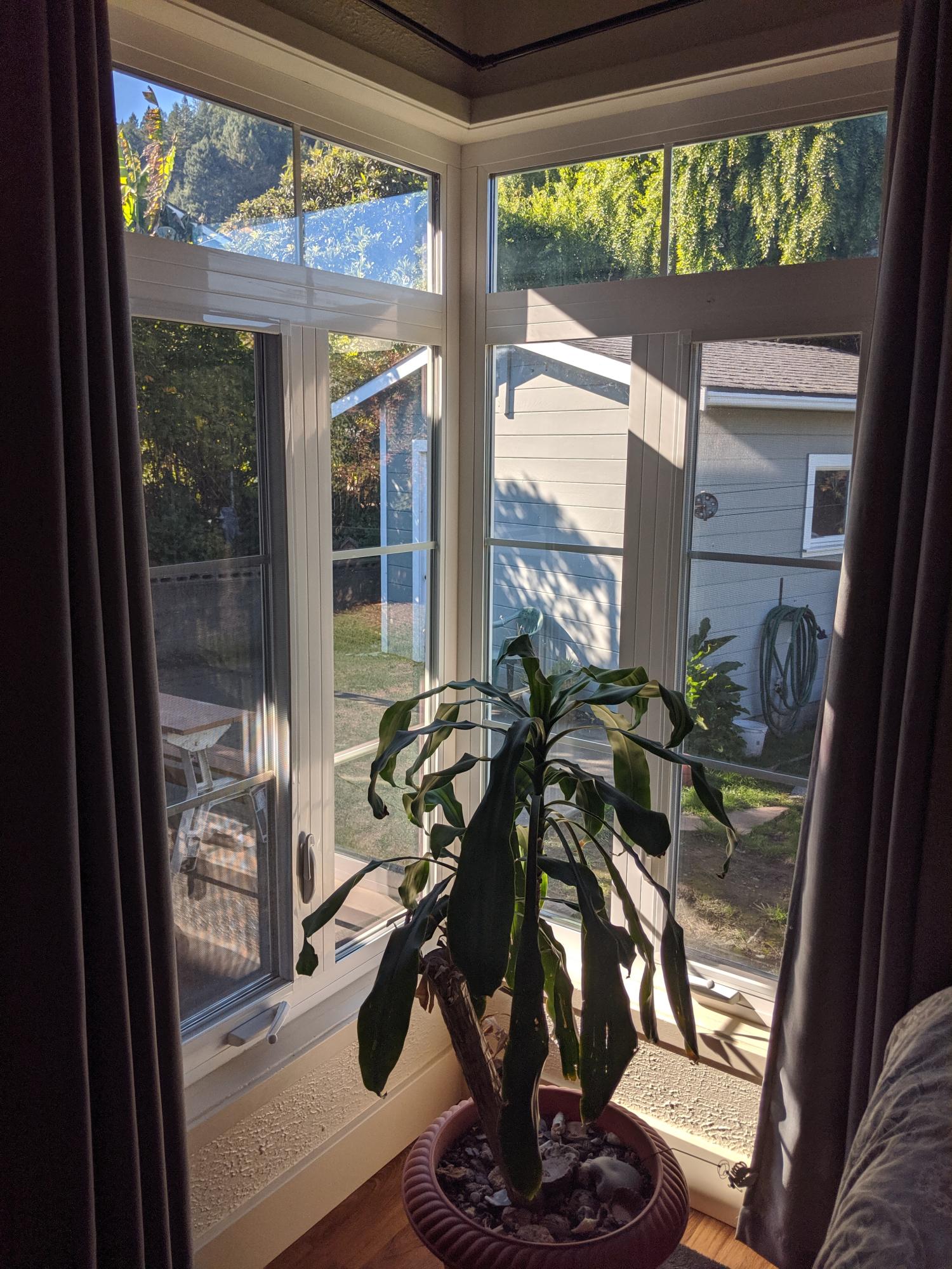 104 Douglas Street Rio Dell, CA 95562 - Photo 20 of 98