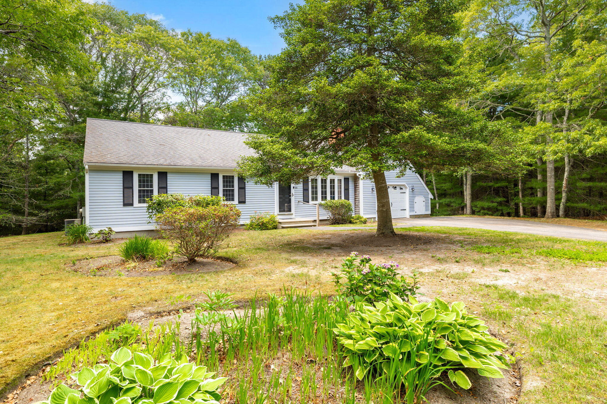 66 Chuckles Way Marstons Mills, MA 02648 - Photo 2 of 32 2-web-or-mls-66 Chuckles Final-15