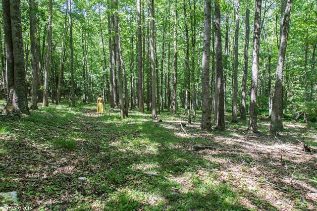 2094 Union School Road Southwest Willis, VA 24380 - Photo 34 of 40 a view of outdoor space with green field and trees