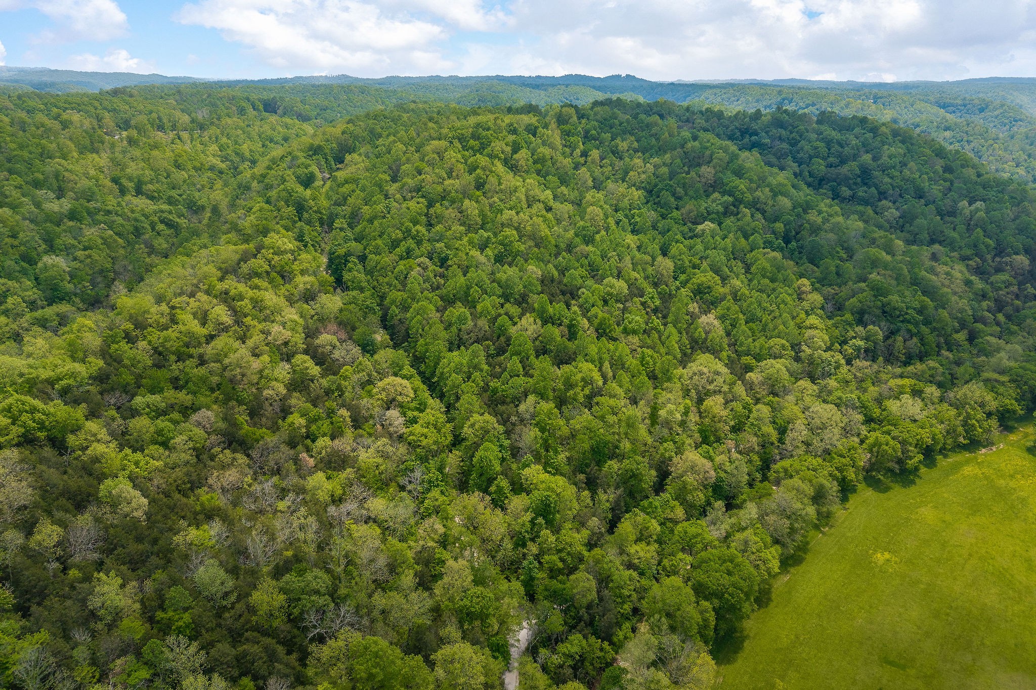 0 Red Bud Lane Hilham, TN 38568 - Photo 1 of 14