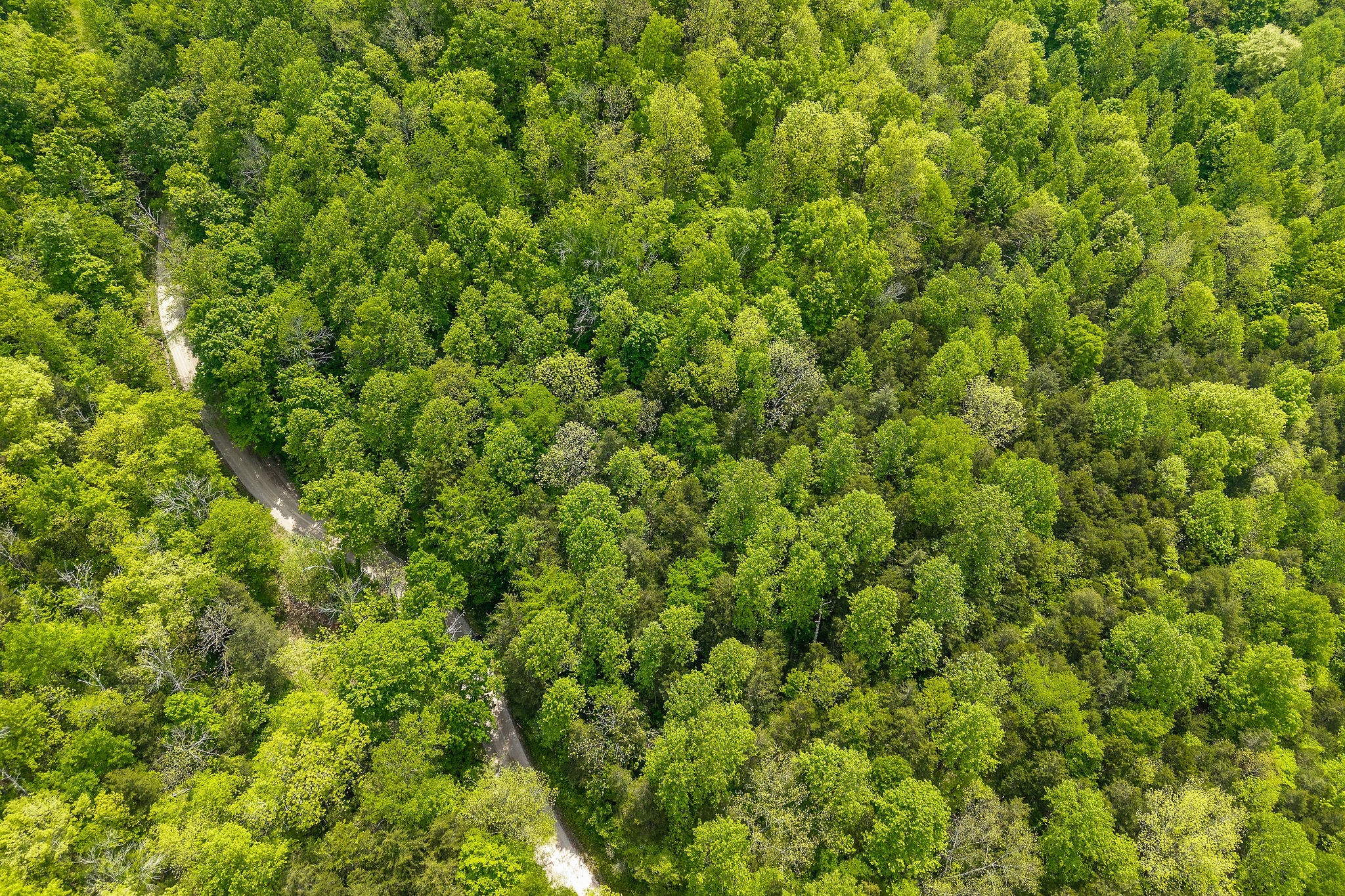 0 Red Bud Lane Hilham, TN 38568 - Photo 11 of 14