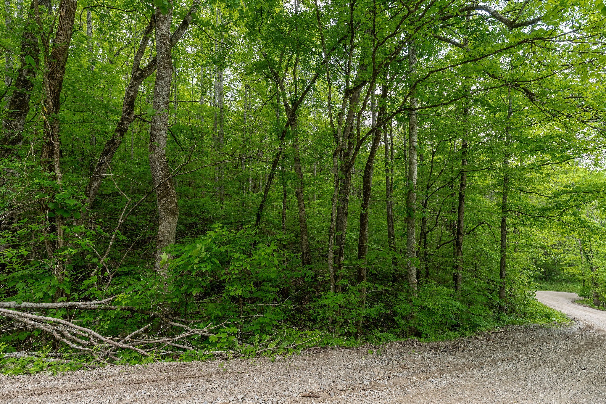 0 Red Bud Lane Hilham, TN 38568 - Photo 12 of 14