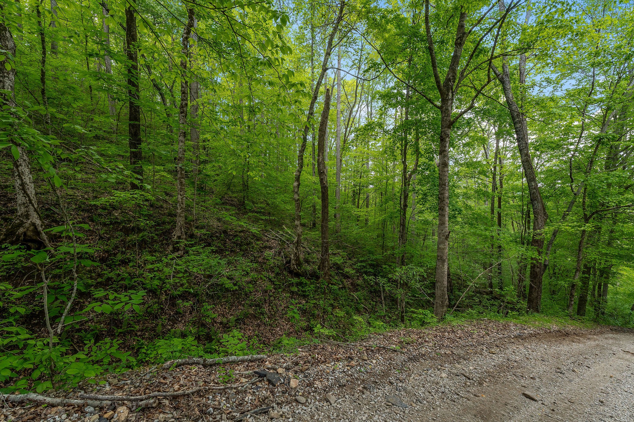 0 Red Bud Lane Hilham, TN 38568 - Photo 13 of 14