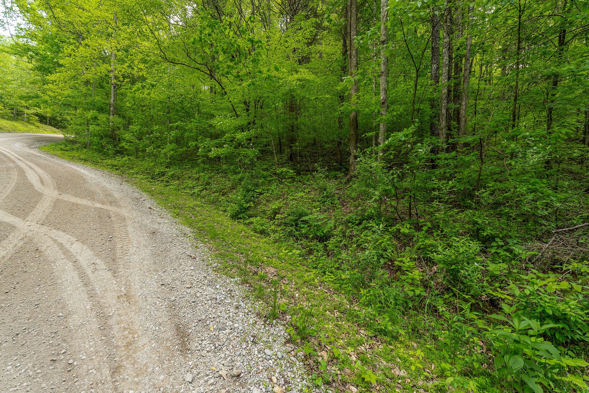 0 Red Bud Lane Hilham, TN 38568 - Photo 14 of 14