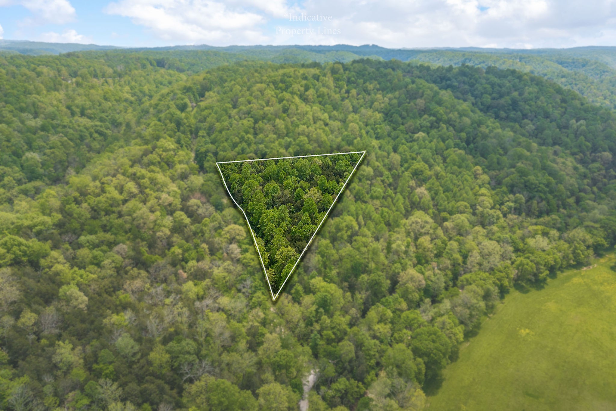 0 Red Bud Lane Hilham, TN 38568 - Photo 2 of 14