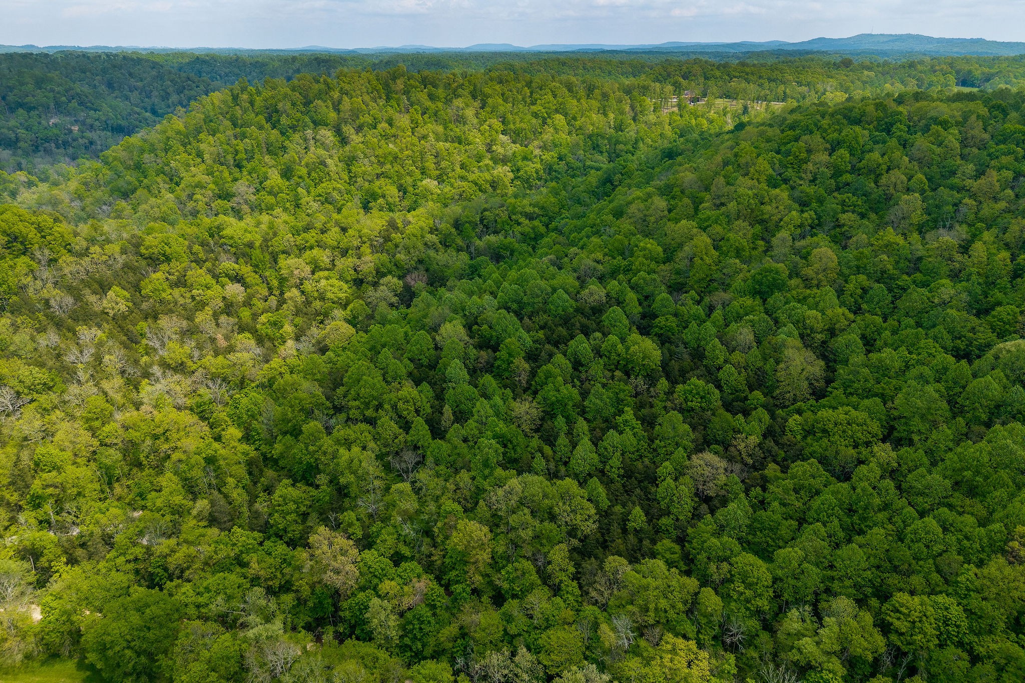 0 Red Bud Lane Hilham, TN 38568 - Photo 3 of 14