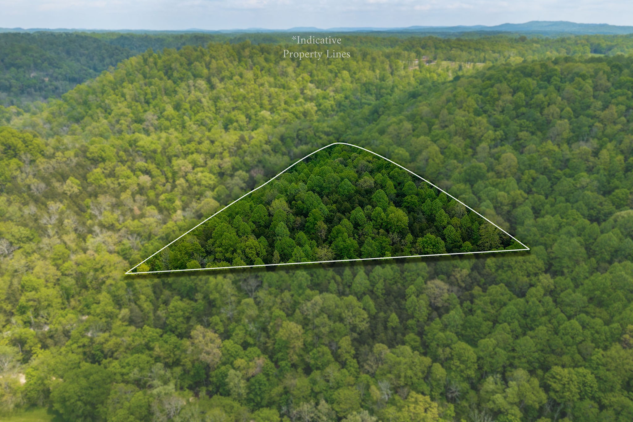 0 Red Bud Lane Hilham, TN 38568 - Photo 4 of 14